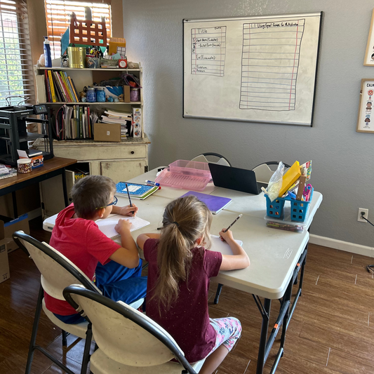 Homeschool Support: Tutoring