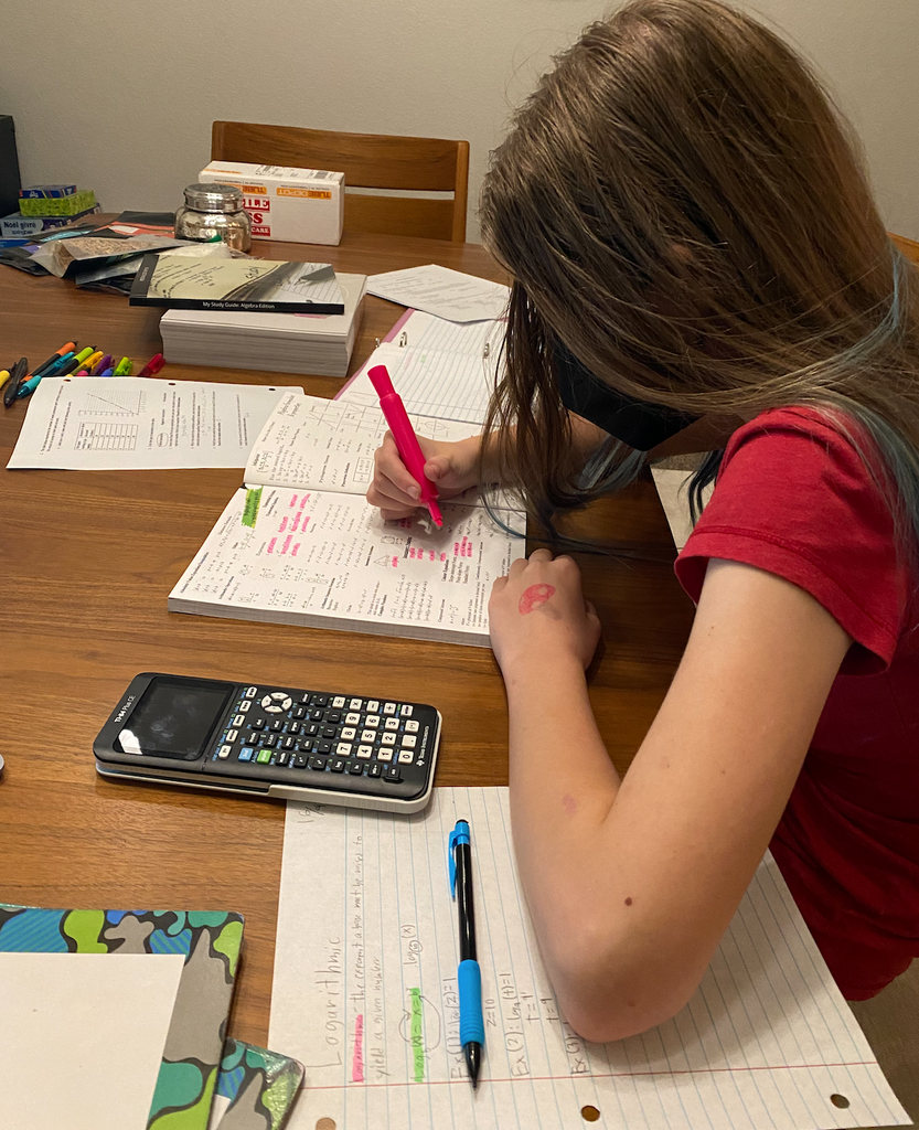 My Study Guide – Blackgirlmathematics